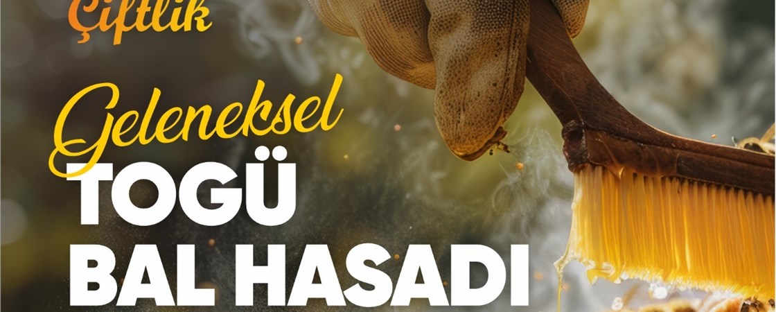 Bal Hasadı Etkinliği