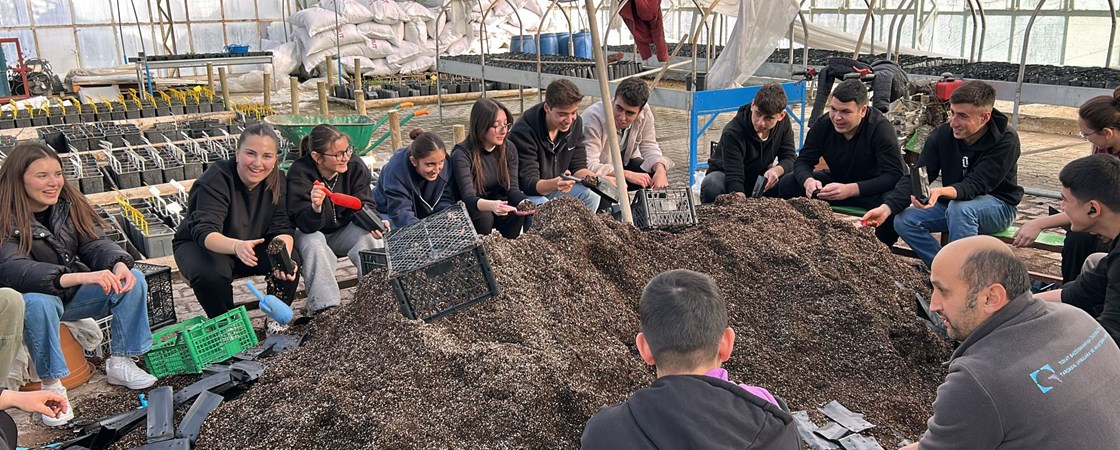 2026 yılı tüplü asma fidanı üretim çalışmalarımıza başladık